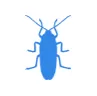 Уничтожение тараканов в Голицыно